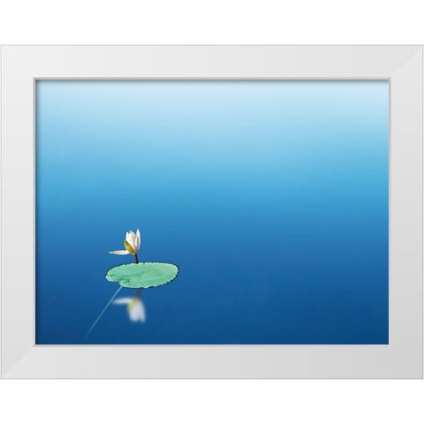 Lilypad I White Modern Wood Framed Art Print by McLoughlin, James