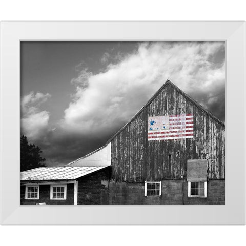 Flags of Our Farmers VII White Modern Wood Framed Art Print by McLoughlin, James