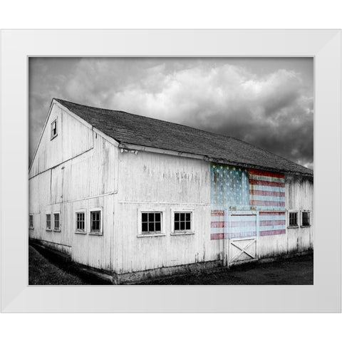 Flags of Our Farmers VIII White Modern Wood Framed Art Print by McLoughlin, James