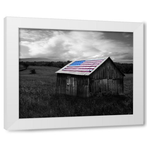Flags of Our Farmers XII White Modern Wood Framed Art Print by McLoughlin, James
