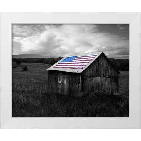 Flags of Our Farmers XII White Modern Wood Framed Art Print by McLoughlin, James