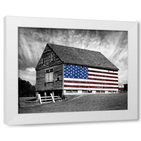 Flags of Our Farmers XIV White Modern Wood Framed Art Print by McLoughlin, James