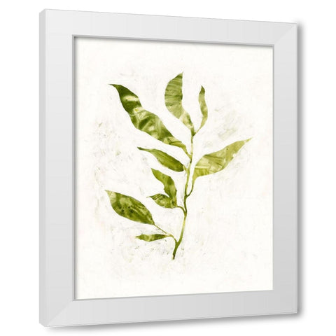 Sapling I White Modern Wood Framed Art Print by Borges, Victoria