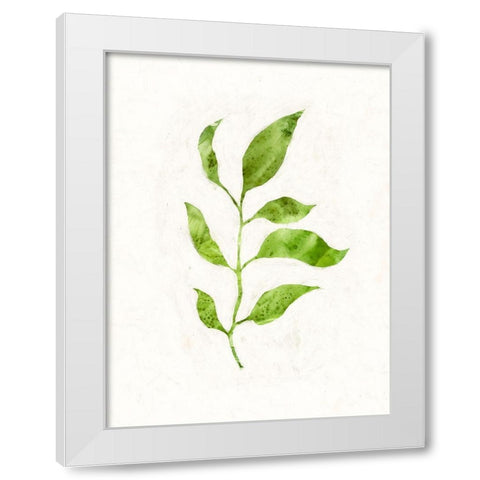 Sapling II White Modern Wood Framed Art Print by Borges, Victoria