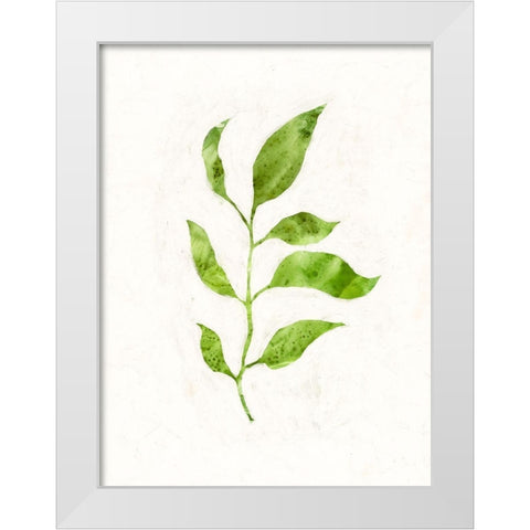 Sapling II White Modern Wood Framed Art Print by Borges, Victoria