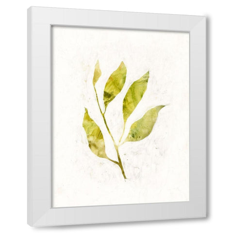 Sapling IV White Modern Wood Framed Art Print by Borges, Victoria