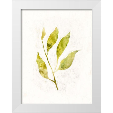 Sapling IV White Modern Wood Framed Art Print by Borges, Victoria