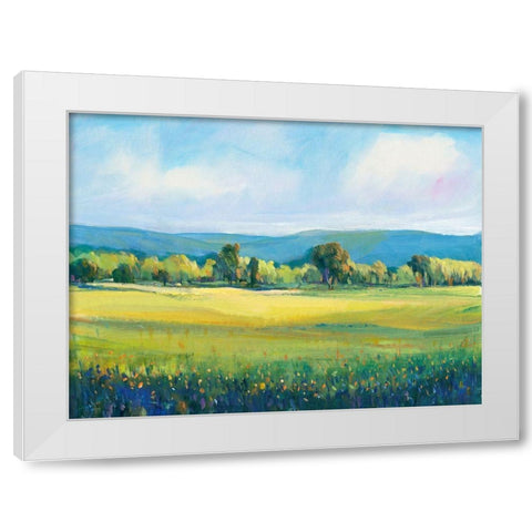 Partly Cloudy I White Modern Wood Framed Art Print by OToole, Tim