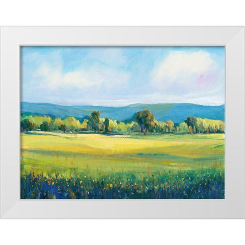 Partly Cloudy I White Modern Wood Framed Art Print by OToole, Tim