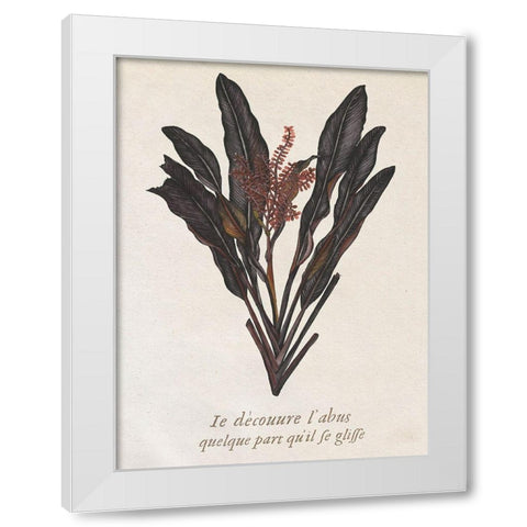 Seaweed Study I White Modern Wood Framed Art Print by Wang, Melissa