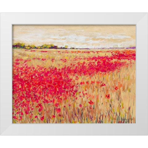 Poppies Evening Light I White Modern Wood Framed Art Print by Gardner, Jennifer
