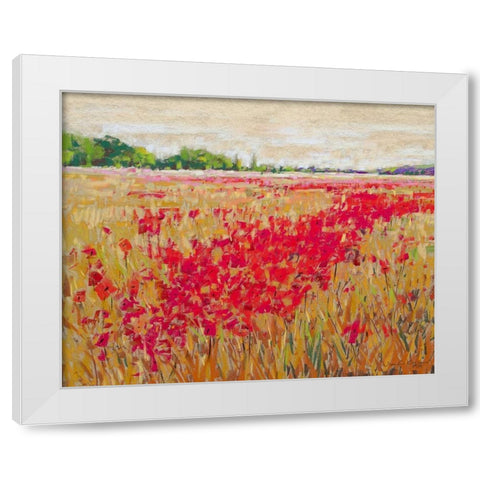 Poppies Evening Light II White Modern Wood Framed Art Print by Gardner, Jennifer