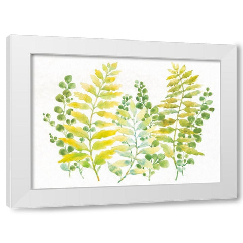 Mixed Greenery I White Modern Wood Framed Art Print by OToole, Tim