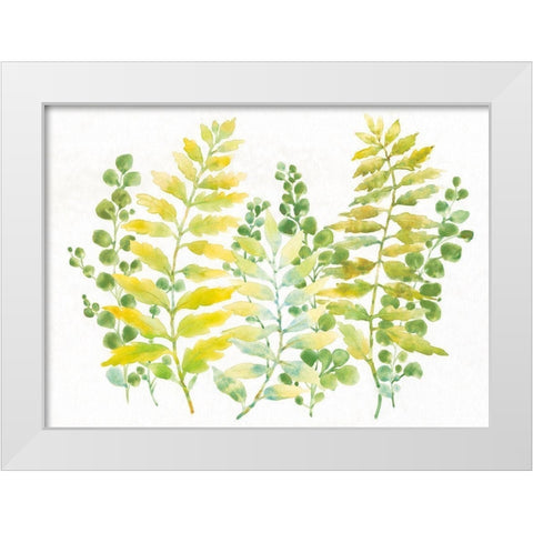 Mixed Greenery I White Modern Wood Framed Art Print by OToole, Tim