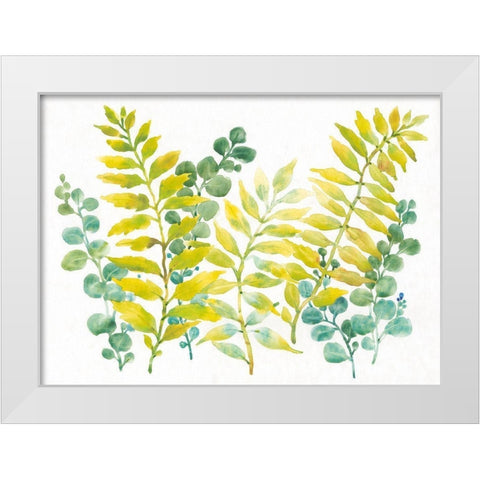 Mixed Greenery II White Modern Wood Framed Art Print by OToole, Tim