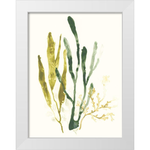 Kelp Collection I White Modern Wood Framed Art Print by Vess, June Erica