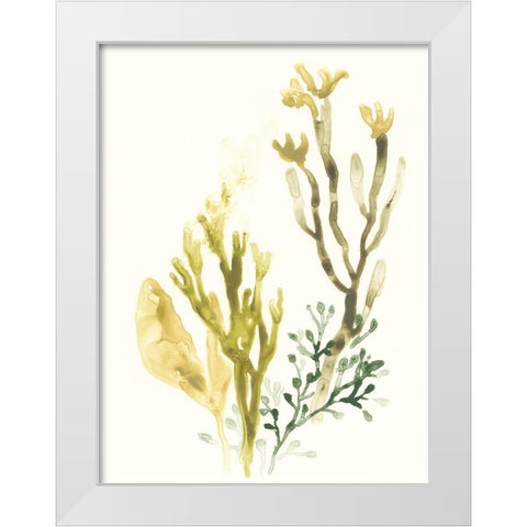 Kelp Collection II White Modern Wood Framed Art Print by Vess, June Erica