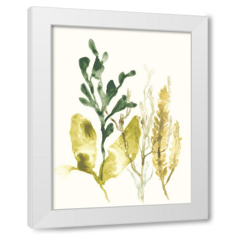 Kelp Collection III White Modern Wood Framed Art Print by Vess, June Erica