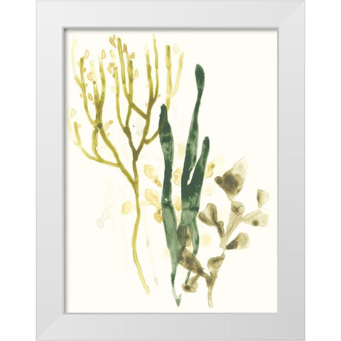 Kelp Collection V White Modern Wood Framed Art Print by Vess, June Erica