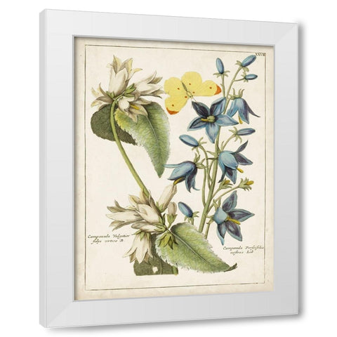 Botanical Bouquet I White Modern Wood Framed Art Print by Unknown