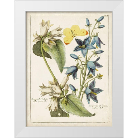 Botanical Bouquet I White Modern Wood Framed Art Print by Unknown