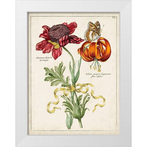 Botanical Bouquet II White Modern Wood Framed Art Print by Unknown