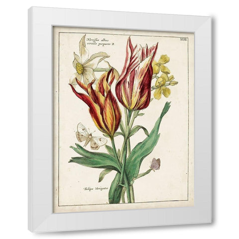 Botanical Bouquet IV White Modern Wood Framed Art Print by Unknown