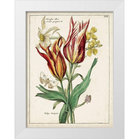Botanical Bouquet IV White Modern Wood Framed Art Print by Unknown