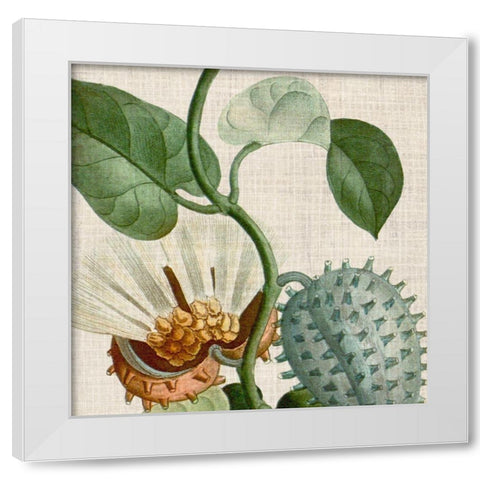 Cropped Turpin Tropicals II White Modern Wood Framed Art Print by Vision Studio