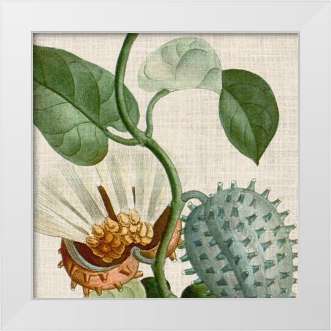 Cropped Turpin Tropicals II White Modern Wood Framed Art Print by Vision Studio