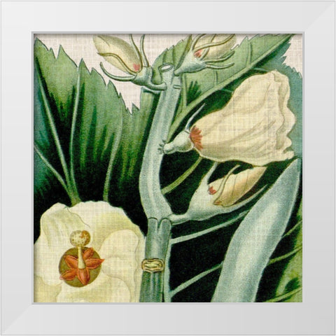 Cropped Turpin Tropicals III White Modern Wood Framed Art Print by Vision Studio