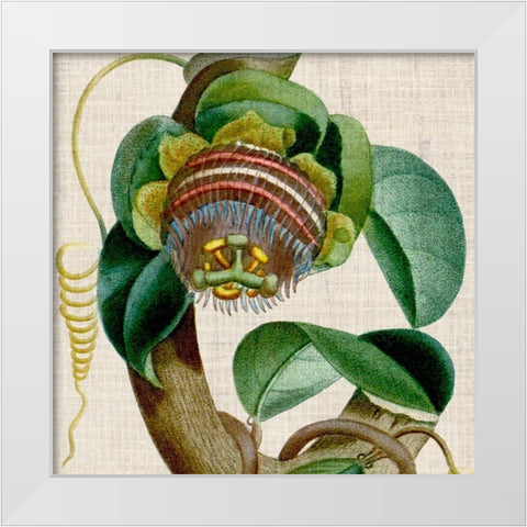 Cropped Turpin Tropicals IV White Modern Wood Framed Art Print by Vision Studio