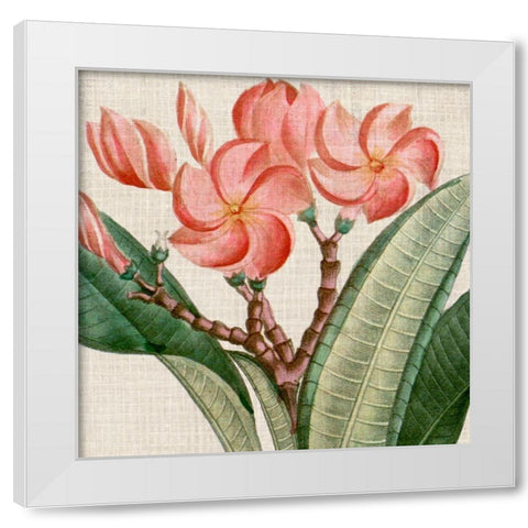 Cropped Turpin Tropicals VII White Modern Wood Framed Art Print by Vision Studio