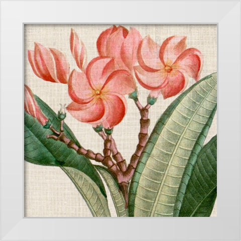 Cropped Turpin Tropicals VII White Modern Wood Framed Art Print by Vision Studio