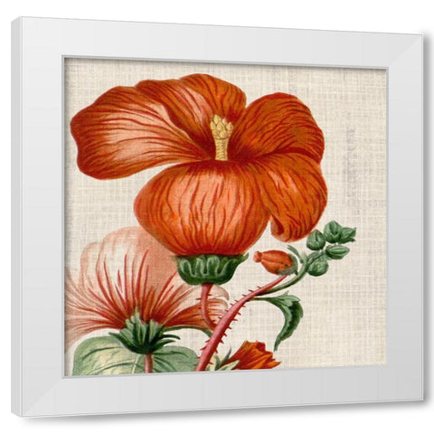 Cropped Turpin Tropicals VIII White Modern Wood Framed Art Print by Vision Studio