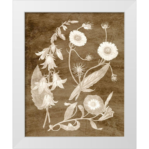 Botanical in Taupe III White Modern Wood Framed Art Print by Vision Studio