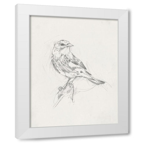 Avian StudyÂ  I White Modern Wood Framed Art Print by Ethan Harper