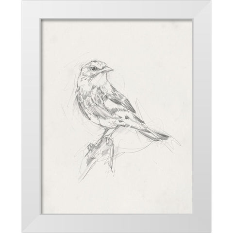 Avian StudyÂ  I White Modern Wood Framed Art Print by Ethan Harper