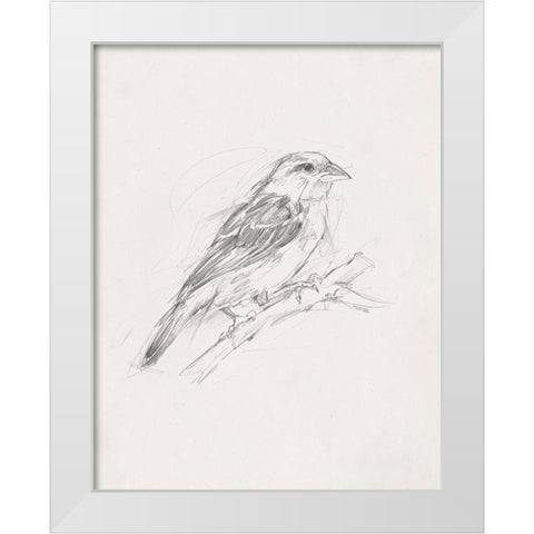 Avian StudyÂ  II White Modern Wood Framed Art Print by Ethan Harper