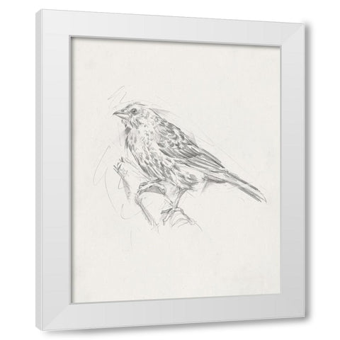 Avian StudyÂ  III White Modern Wood Framed Art Print by Ethan Harper