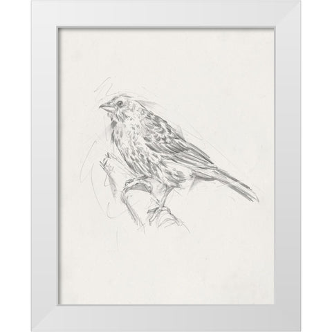 Avian StudyÂ  III White Modern Wood Framed Art Print by Ethan Harper