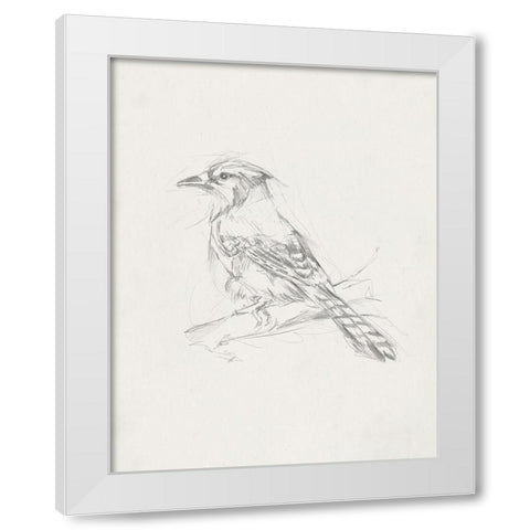 Avian StudyÂ  IV White Modern Wood Framed Art Print by Ethan Harper