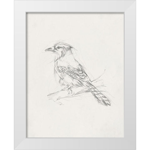 Avian StudyÂ  IV White Modern Wood Framed Art Print by Ethan Harper