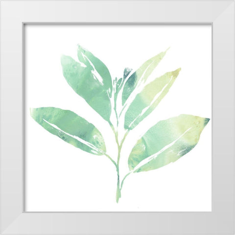 Prisma Tropical II White Modern Wood Framed Art Print by Vess, June Erica