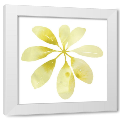 Prisma Tropical V White Modern Wood Framed Art Print by Vess, June Erica