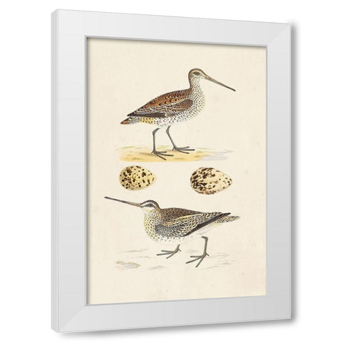 Sandpipers and Eggs III White Modern Wood Framed Art Print by Morris
