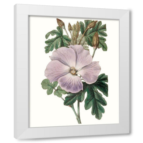 Lavender Beauties I White Modern Wood Framed Art Print by Edwards