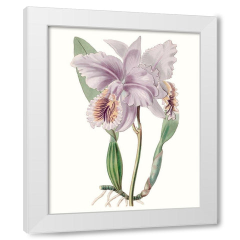 Lavender Beauties II White Modern Wood Framed Art Print by Edwards