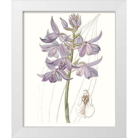 Lavender Beauties III White Modern Wood Framed Art Print by Edwards