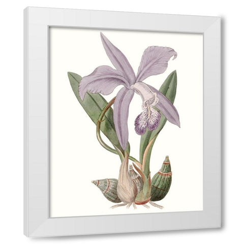 Lavender Beauties IV White Modern Wood Framed Art Print by Edwards